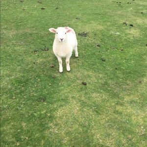 Meet your Posher, Robert